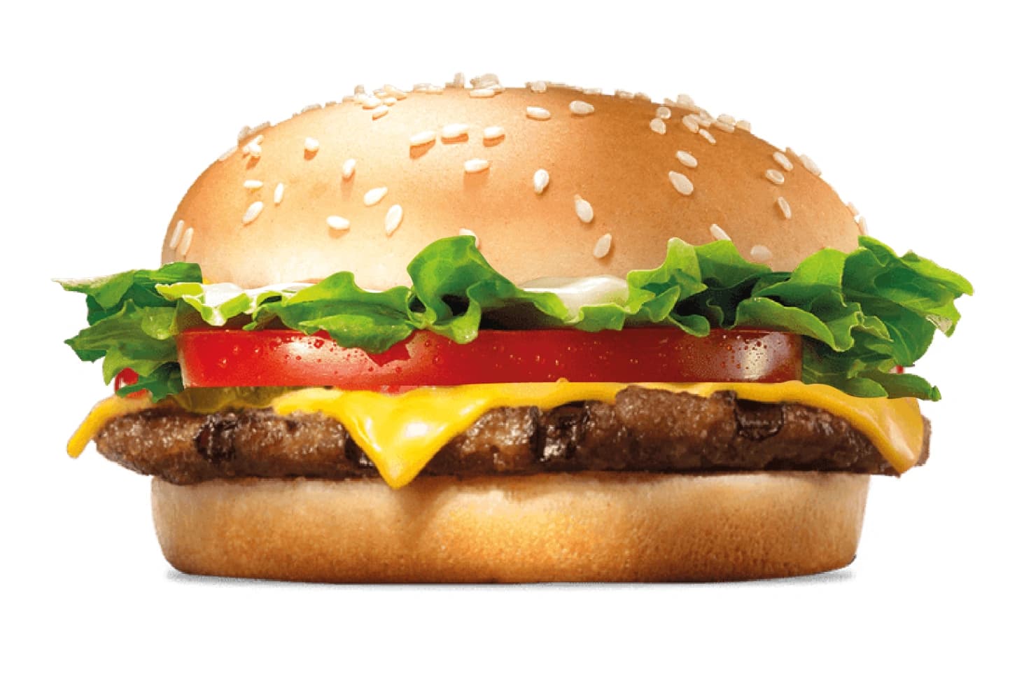 Cheese Burger